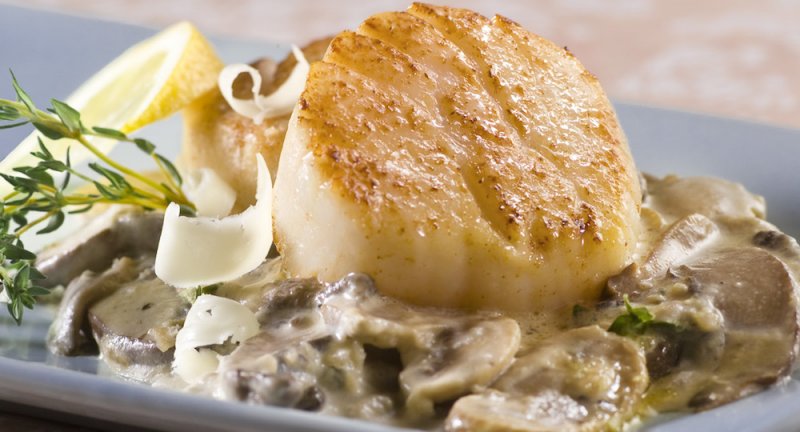 Pétoncles à la crème de champignons sauvages